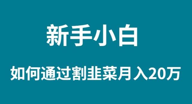 新手小白如何通过割韭菜月入 20W_金轩项目库