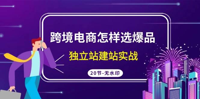 跨境电商怎样选爆品，独立站建站实战（20节高清无水印课）_金轩项目库