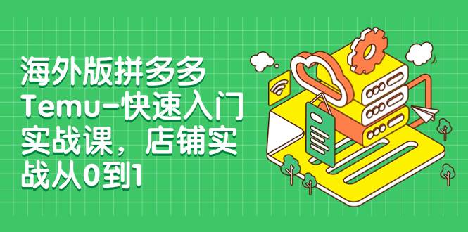海外版拼多多Temu-快速入门实战课，店铺实战从0到1（12节课）_金轩项目库