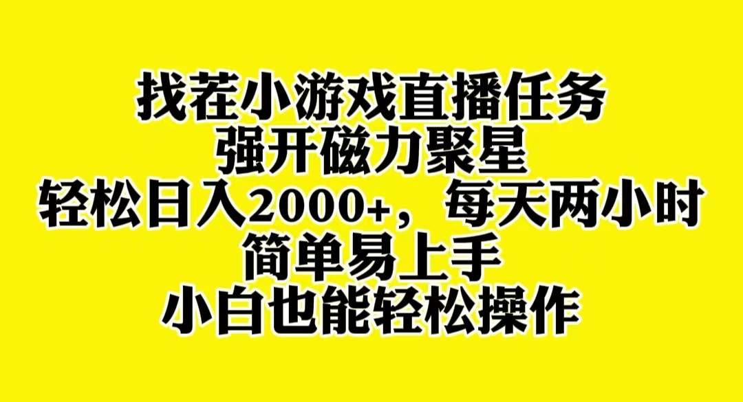 找茬小游戏直播，强开磁力聚星，轻松日入2000+，小白也能轻松上手_金轩项目库