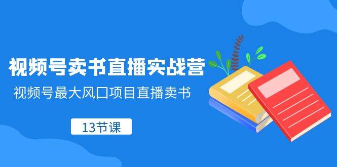 视频号-卖书直播实战营，视频号最大风囗项目直播卖书（13节课）_金轩项目库