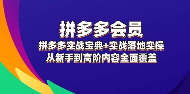 拼多多 会员，拼多多实战宝典+实战落地实操，从新手到高阶内容全面覆盖_金轩项目库