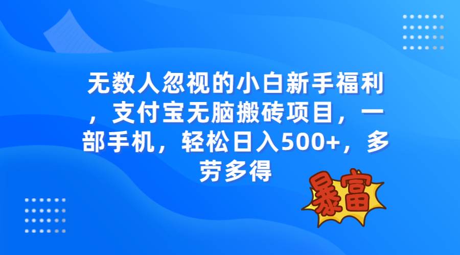 无数人忽视的项目，支付宝无脑搬砖项目，一部手机即可操作，轻松日入500+_金轩项目库