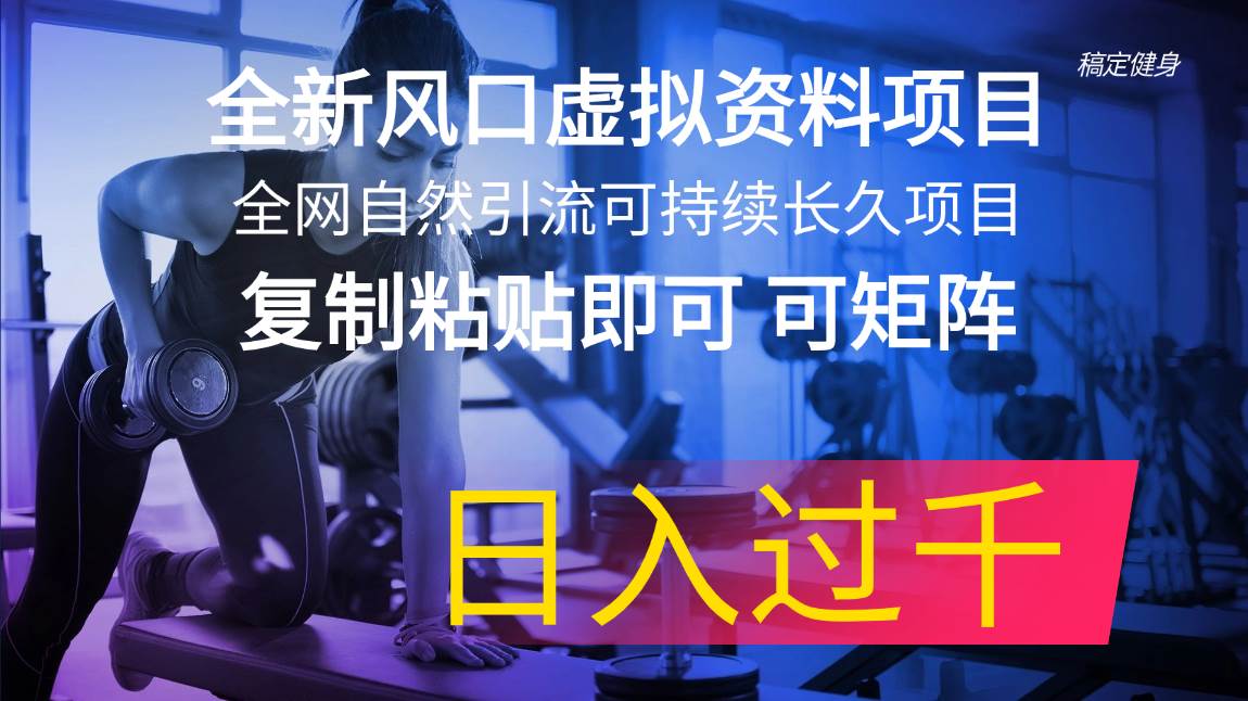 全新风口虚拟资料项目 全网自然引流可持续长久项目 复制粘贴即可可矩阵…_金轩项目库