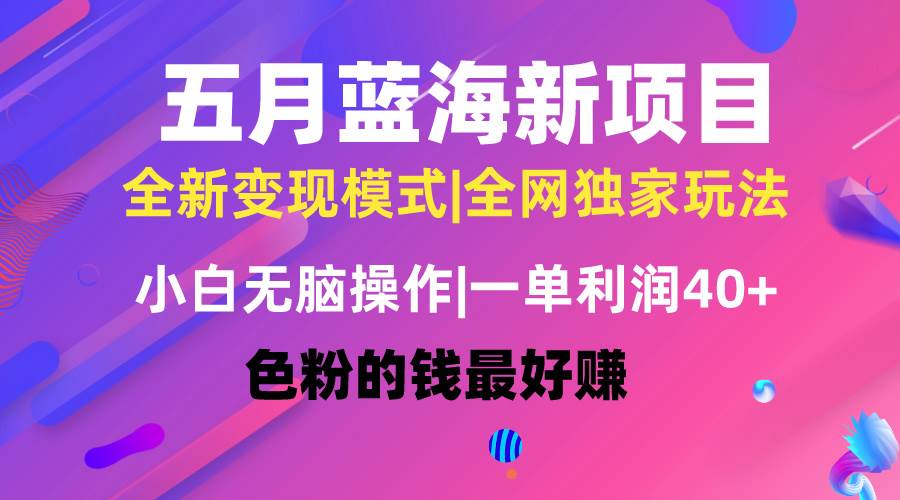 五月蓝海项目全新玩法，小白无脑操作，一天几分钟，矩阵操作，月入4万+_金轩项目库