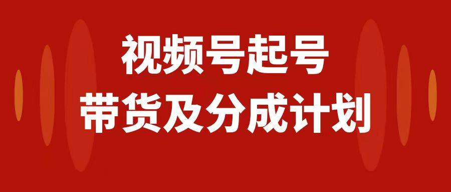 视频号快速起号，分成计划及带货，0-1起盘、运营、变现玩法，日入1000+_金轩项目库