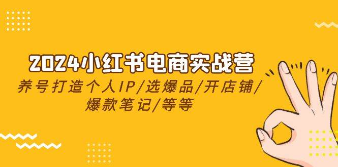 2024小红书电商实战营，养号打造IP/选爆品/开店铺/爆款笔记/等等（24节）_金轩项目库