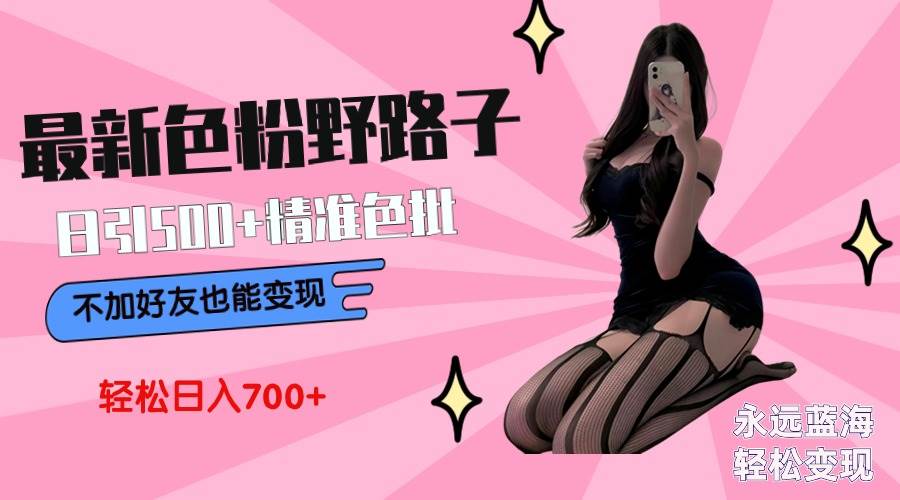 最新色粉变现野路子，日引500+老色批 可不加好友直接变现 小白轻松日入700+_金轩项目库