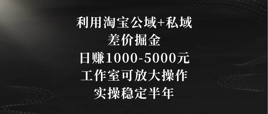 利用淘宝公域+私域差价掘金，日赚1000-5000元，工作室可放大操作，实操…_金轩项目库