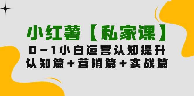 小红薯【私家课】0-1玩赚小红书内容营销，认知篇+营销篇+实战篇（11节课）_金轩项目库