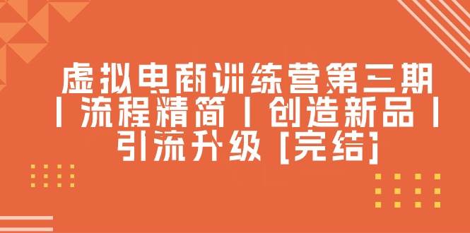 虚拟电商训练营第三期丨流程精简丨创造新品丨引流升级 [完结]_金轩项目库
