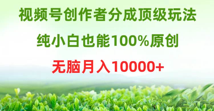 视频号创作者分成顶级玩法，纯小白也能100%原创，无脑月入10000+_金轩项目库