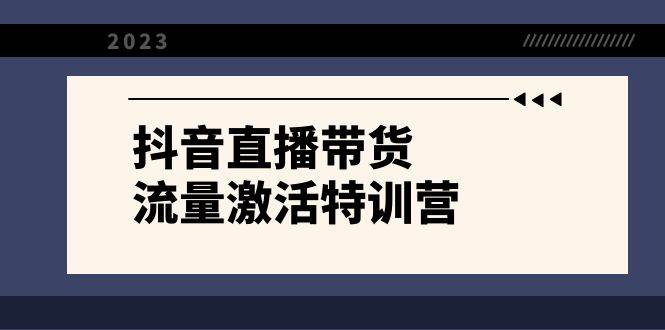 抖音直播带货-流量激活特训营，入行新手小白主播必学（21节课+资料）_金轩项目库