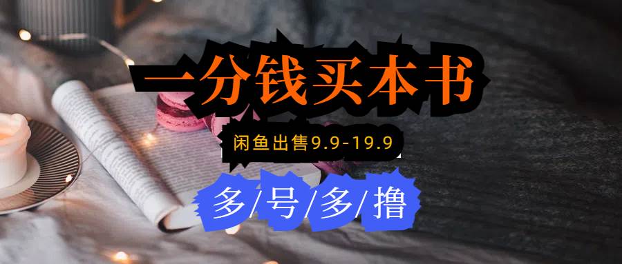每天花1分钱买一本书，闲鱼出售9.9-19.9不等，多账号多撸 新手小白均可操作_金轩项目库