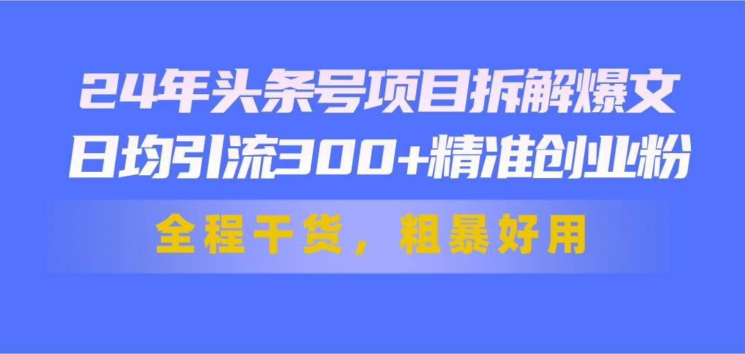 24年头条号项目拆解爆文，日均引流300+精准创业粉，全程干货，粗暴好用_金轩项目库