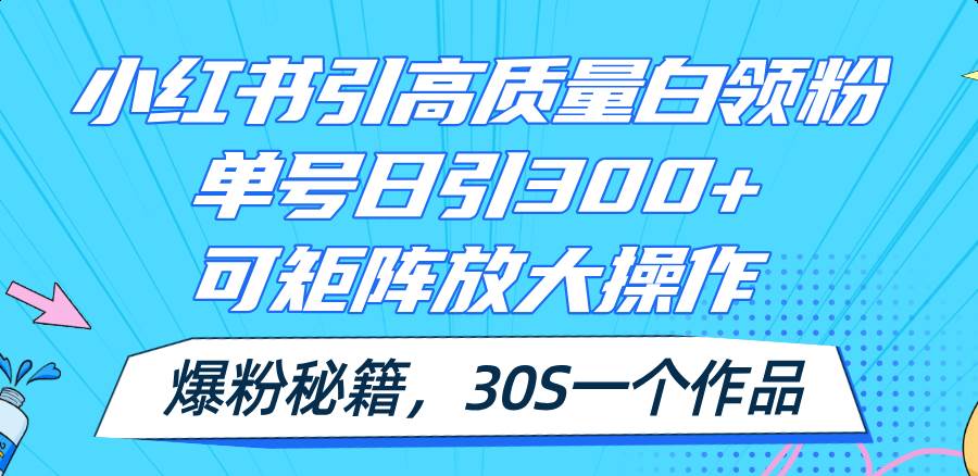 小红书引高质量白领粉，单号日引300+，可放大操作，爆粉秘籍！30s一个作品_金轩项目库