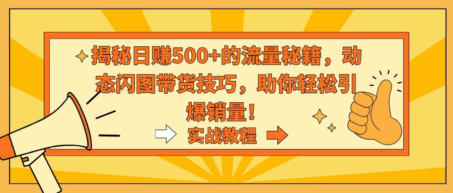 揭秘日赚500+的流量秘籍，动态闪图带货技巧，助你轻松引爆销量！_金轩项目库