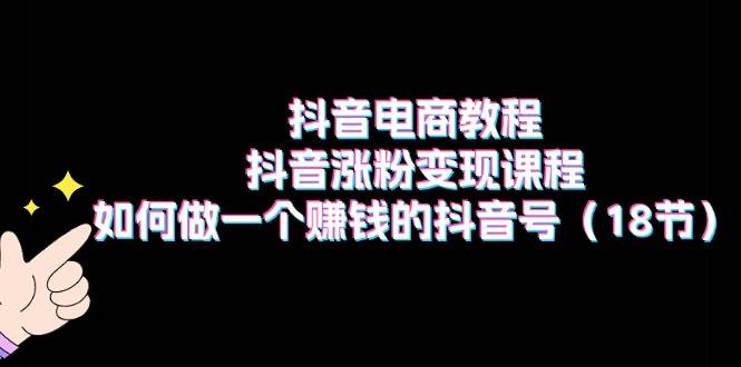 抖音电商教程：抖音涨粉变现课程：如何做一个赚钱的抖音号（18节）_金轩项目库