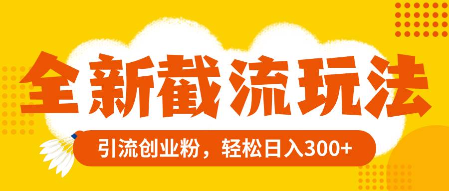 全新截流玩法，精准引流创业粉，轻松日入300+_金轩项目库
