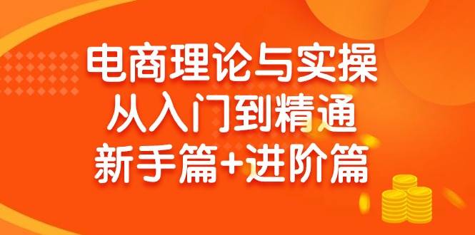 电商理论与实操从入门到精通 新手篇+进阶篇_金轩项目库