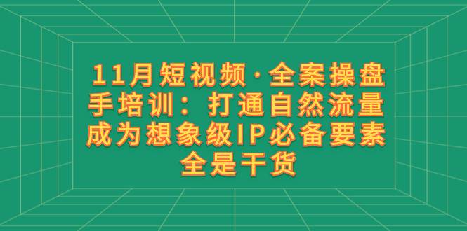 11月短视频·全案操盘手培训：打通自然流量 成为想象级IP必备要素 全是干货_金轩项目库