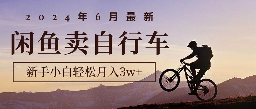 2024年6月最新闲鱼卖自行车，新手小白轻松月入3w+项目_金轩项目库