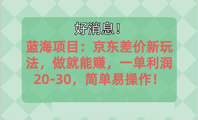 越早知道越能赚到钱的蓝海项目：京东大平台操作，一单利润20-30，简单…_金轩项目库