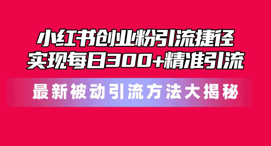 小红书创业粉引流捷径！最新被动引流方法大揭秘，实现每日300+精准引流_金轩项目库