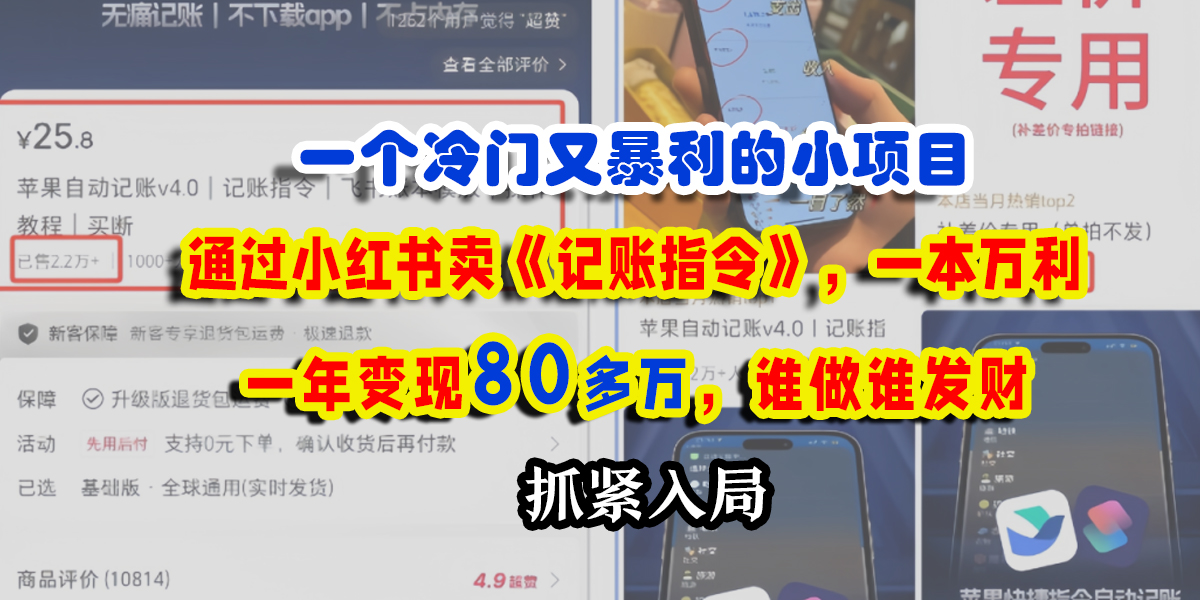 一个冷门又暴利的小项目，通过小红书卖《记账指令》，一本万利，一年变现80多万，谁做谁发财_金轩项目库