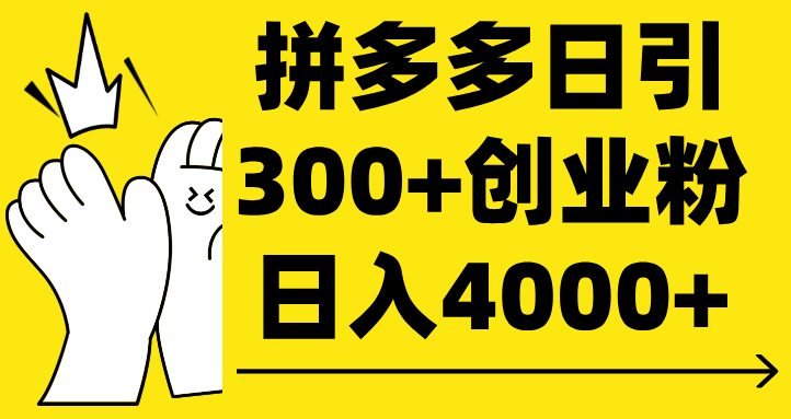 拼多多日引300+创业粉 日入4000+_金轩项目库