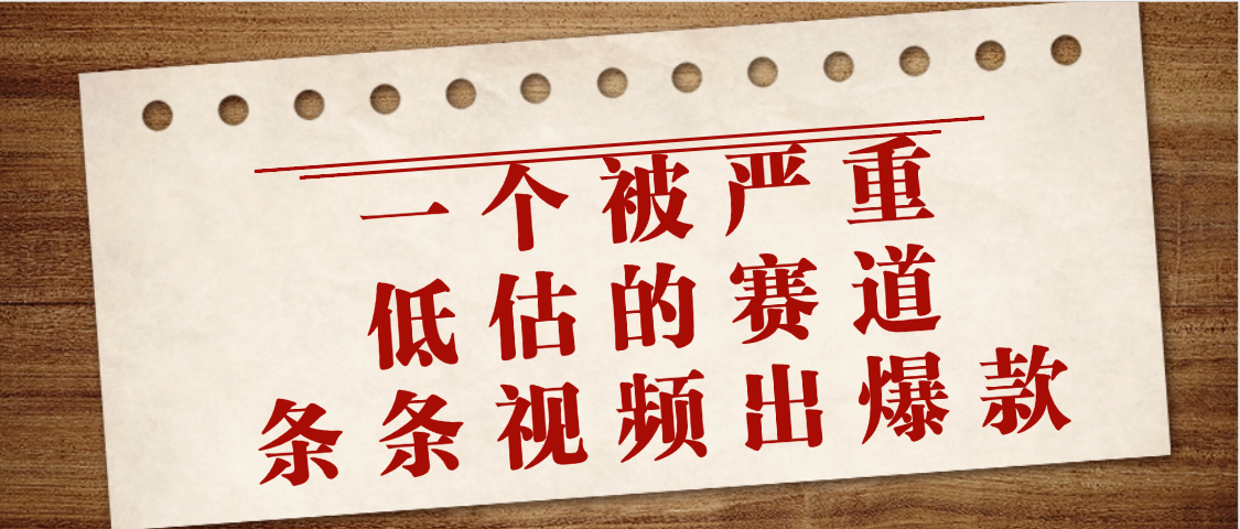 一个被严重低估的赛道，条条视频出爆款，一个月变现3万+_金轩项目库