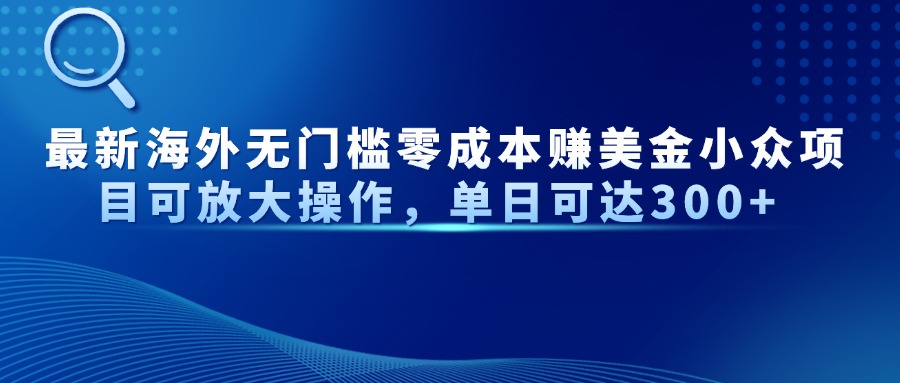 最新海外无门槛美金小众项目可放大操作，单日可达300+_金轩项目库