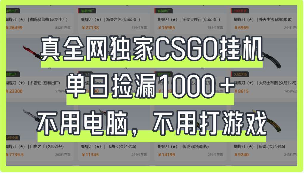 真全网独家CSGO挂机，单日捡漏1000+_金轩项目库