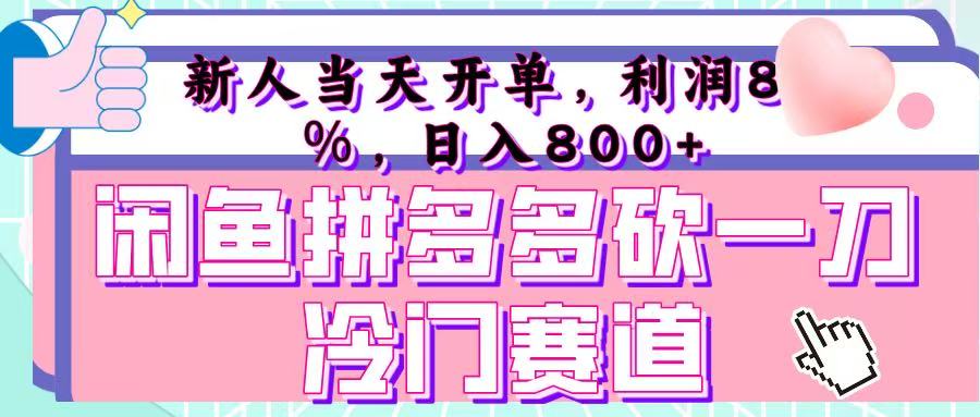 咸鱼拼夕夕砍一刀冷门暴力赛道，新人当天开单，利润百分之八十，日入 800+_金轩项目库