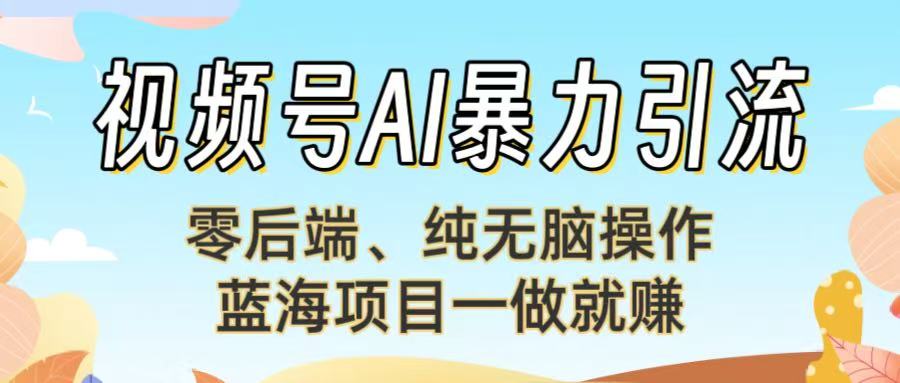 视频号AI暴力引流：零后端、纯无脑操作，蓝海项目一做就赚！【下面那个链接失效了】_金轩项目库