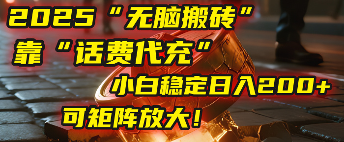 无脑搬砖项目：靠“话费代充”，小白稳定日入200+，可矩阵放大！_金轩项目库