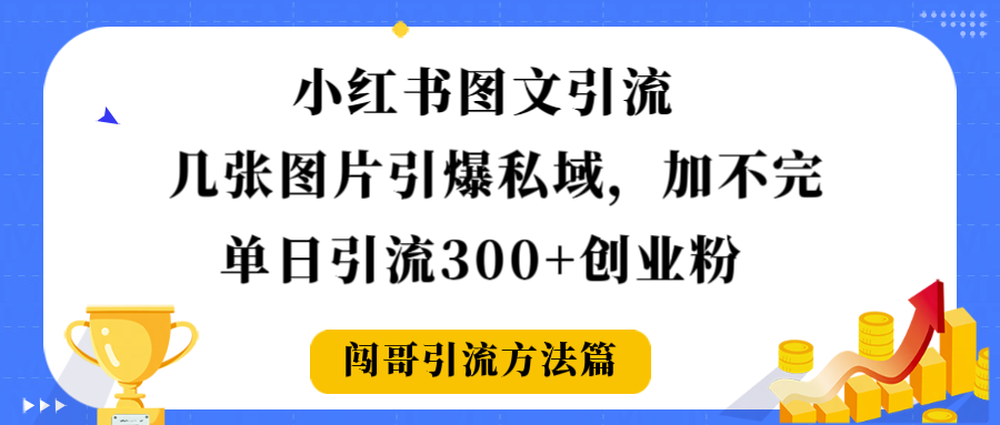 小红书图文引流，几张图片引爆私域加不完，单日引流300＋创业粉_金轩项目库