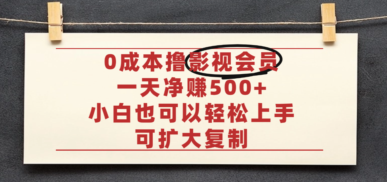 亲测，0成本可批量操作，靠卖影视会员实测月入30000+_金轩项目库