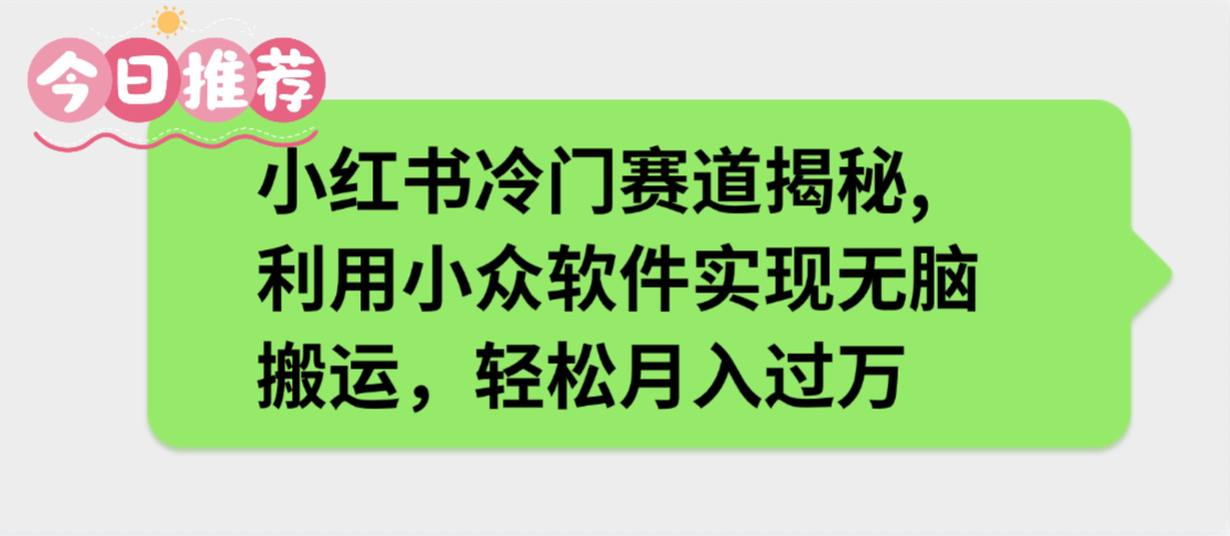 小红书冷门赛道揭秘,利用小众软件实现无脑搬运，轻松月入过万_金轩项目库