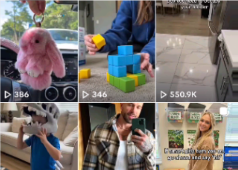 万字实操指南:Seedance联手TikTok带货,月入六位数可复制的全攻略_金轩项目库